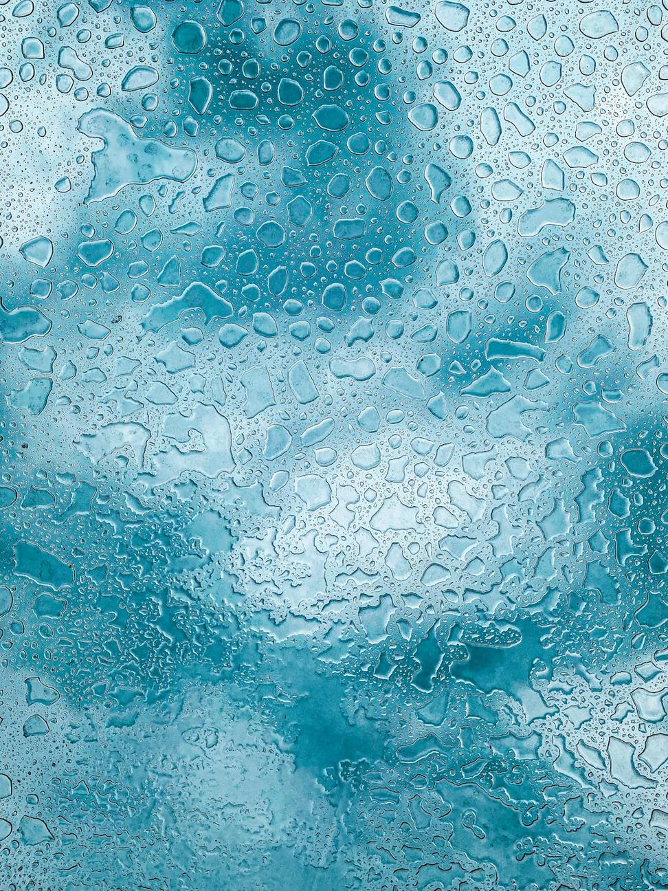 Privacy Policy Header